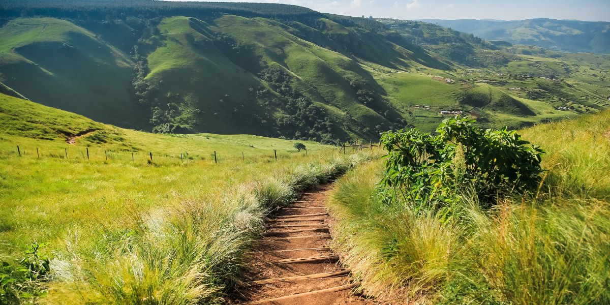 Une photographie d'un sentier entouré d'un paysage verdoyant