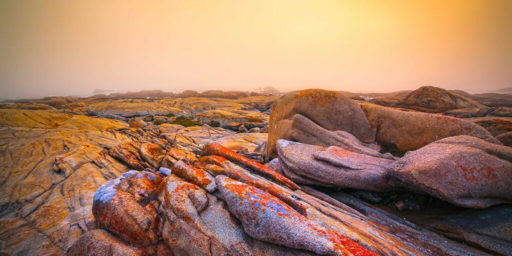 Une photo de roches colorées de rouge et de jaune